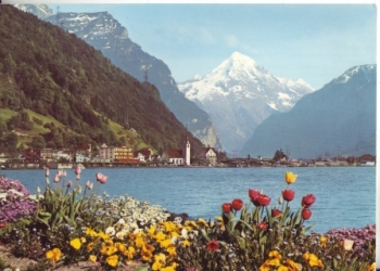 Flüelen - CH 1971 95 001 ●